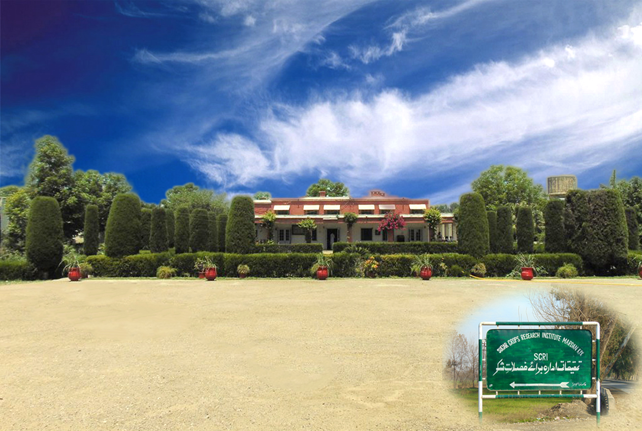 Sugar Crops Research Institute, Mardan
